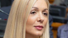 Uloga Marka Milenkovića